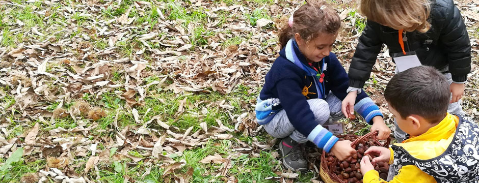 Educazione alla sostenibilità ambientale