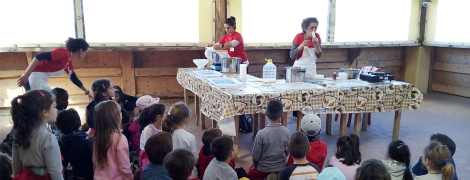 Educazione alla sostenibilità ambientale